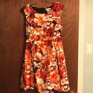 Liz Claiborne 🍁🍃🍂 fall dress. 8